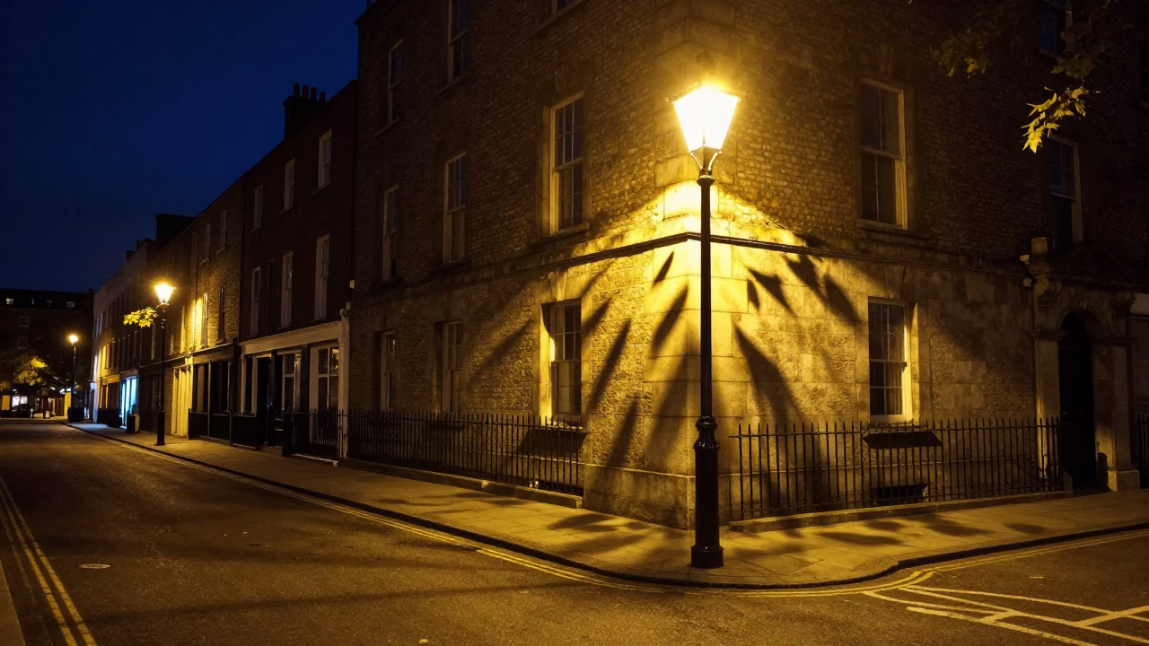 Dublin Ireland Night Street Scene with Leaf Shadows and Stone Architecture in in Dublin, Ireland