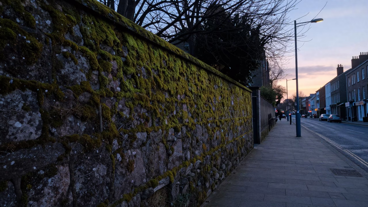 Dublin Ireland Pre-Dawn Street Scene with Mossy Stone Walls and Vintage Street Lamp in in Dublin, Ireland