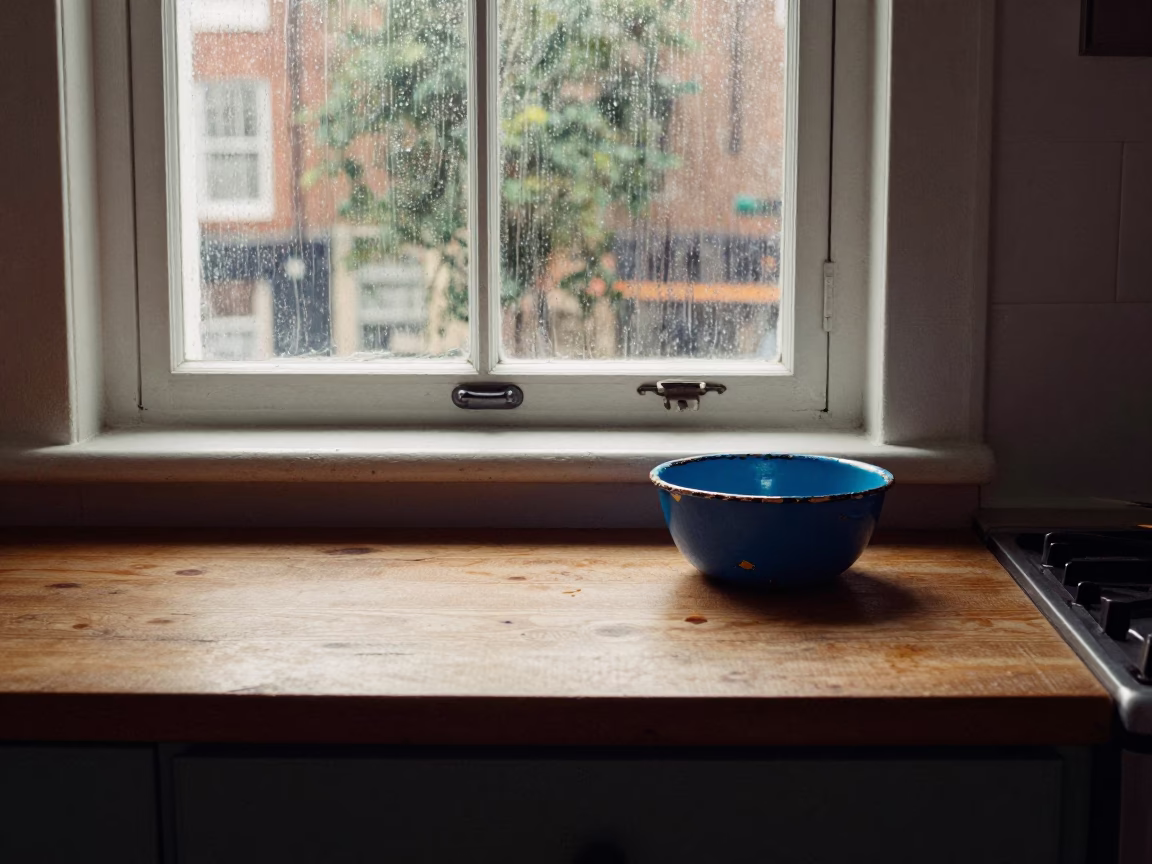 Dublin Morning Light on Chipped Blue Enamel Kitchen Counter with Rosemary and Fruit Knife in in Dublin, Ireland