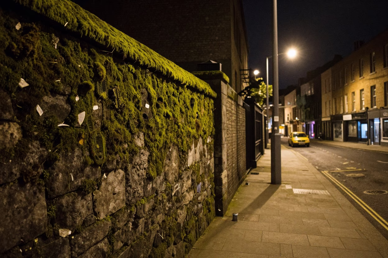 Dublin Night Street Scene with Moss-Covered Stone Wall and Steam Haze in in Dublin, Ireland