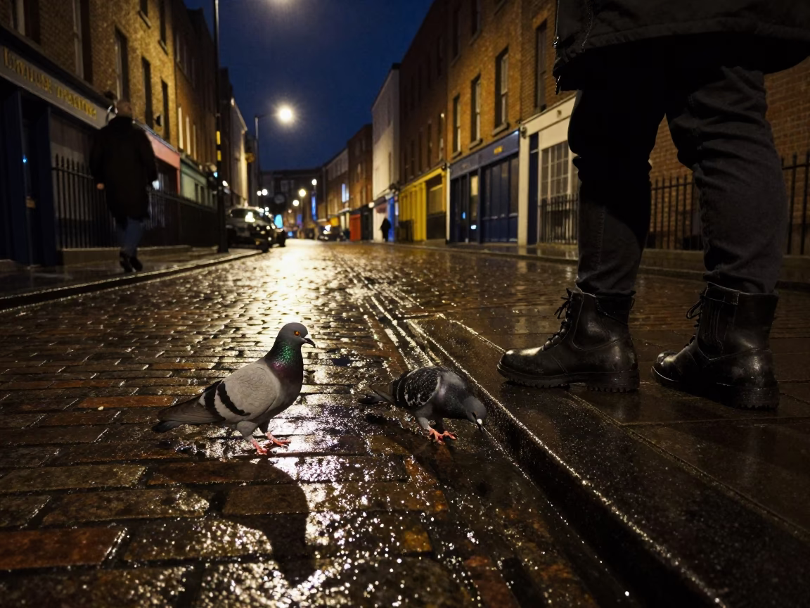 Dublin Night Street Scene With Pigeons And Rain Boots Under Deep Sky in in Dublin, Ireland