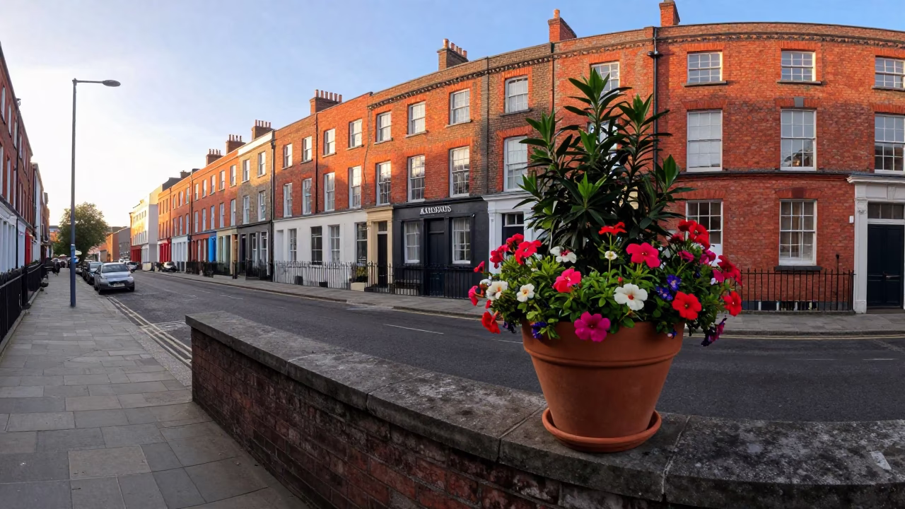 Dublin street scene with flowerpot and flowering plant near door wreaths in in Dublin, Ireland