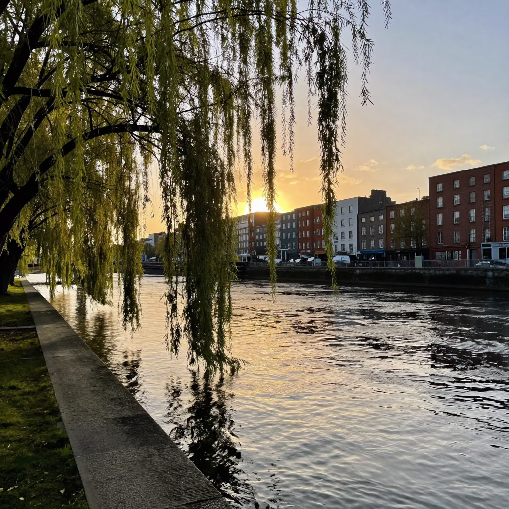 Dublin Sunset River Scene with Willow Trees and Urban Infrastructure in in Dublin, Ireland