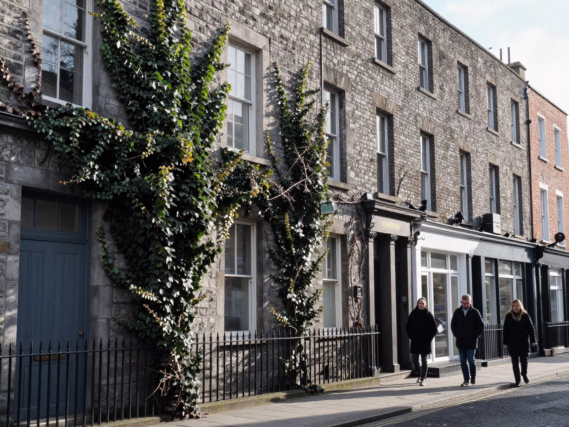 Dublin Winter Noon Street Scene With Ivy Vines And Gardener in in Dublin, Ireland