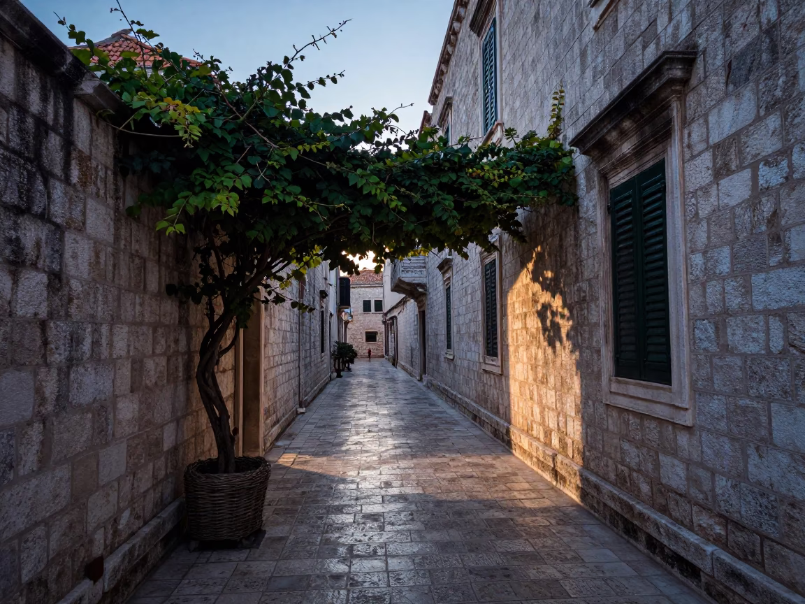 Dubrovnik Croatia Before Sunrise Stone Alleyway Ivy Vines and Wicker Shadow in in Dubrovnik, Croatia