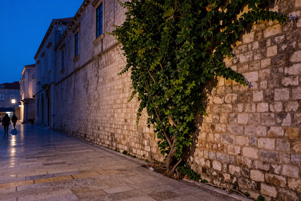 Dubrovnik Croatia Twilight Scene With Ivy Climbing Ancient Brick Wall And Blue Plumbago Hedge in in Dubrovnik, Croatia