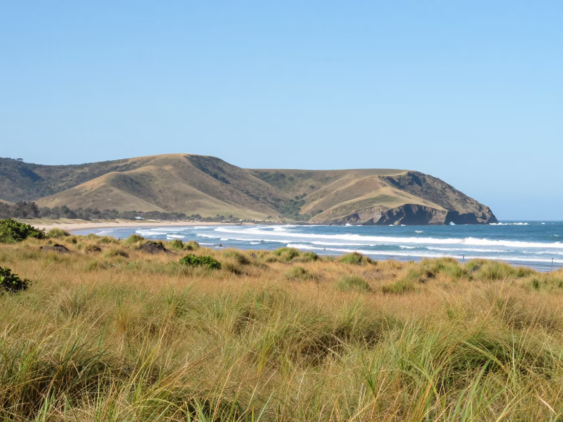 Dune Grass Barrier Island Abengourou Foothills in from a ridge above layered foothills near Abengourou