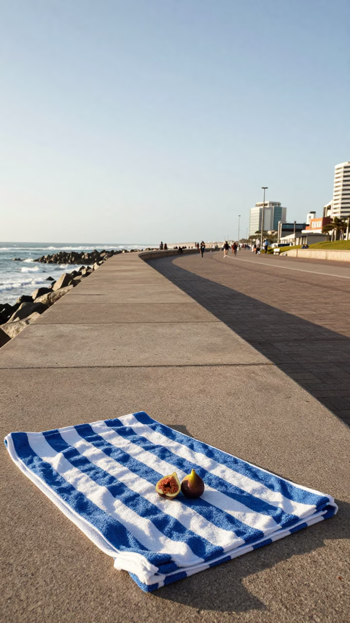 Durban Beachfront Boardwalk Afternoon with Striped Towel and Fig Tree in in Durban, South Africa