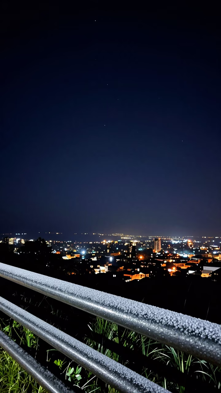 Durban South Africa Night Sky Horizon with Condensation on Metal Rail and Tropical Vegetation in in Durban, South Africa