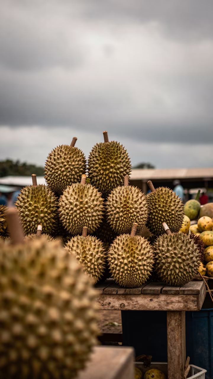 Durians and Rambutans on Ondjiva Market Bench in at a flower auction bench in Ondjiva