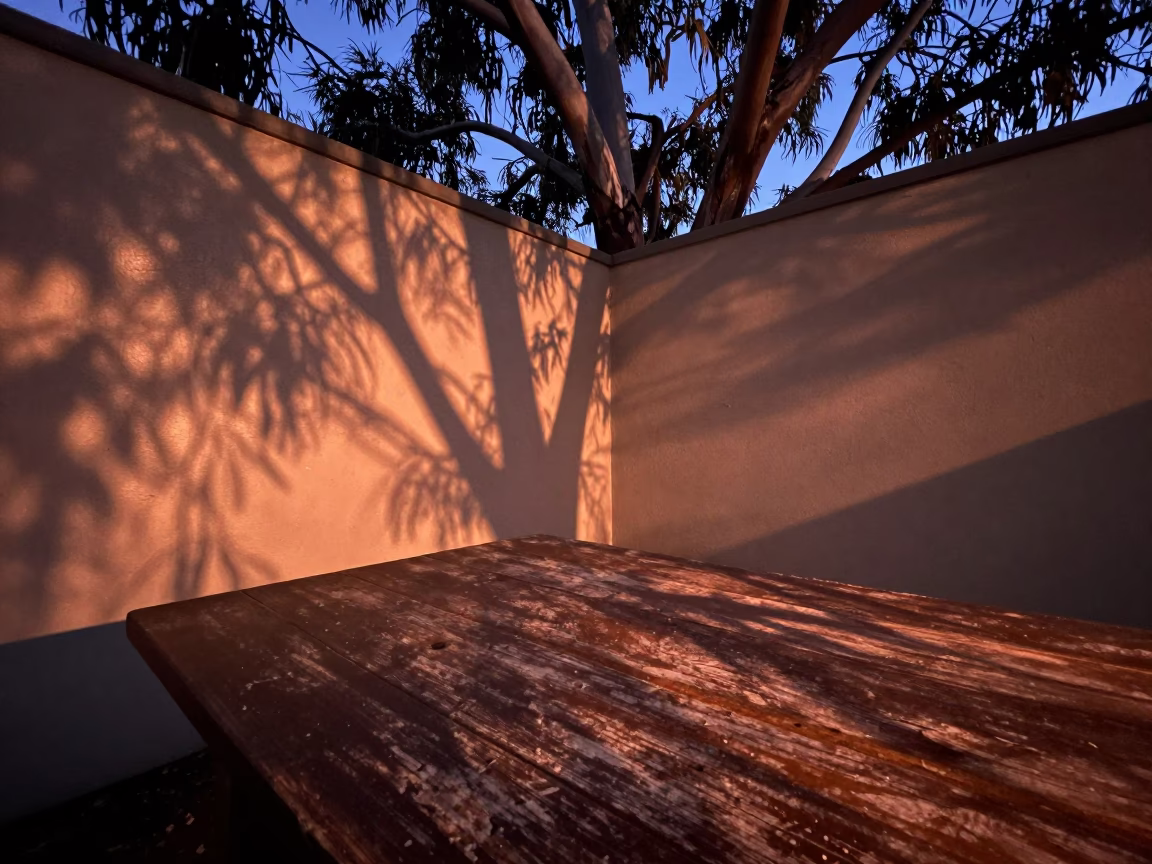 Dusk Light at Copper-toned Light Before Dusk in Sydney in in Sydney, New South Wales, Australia