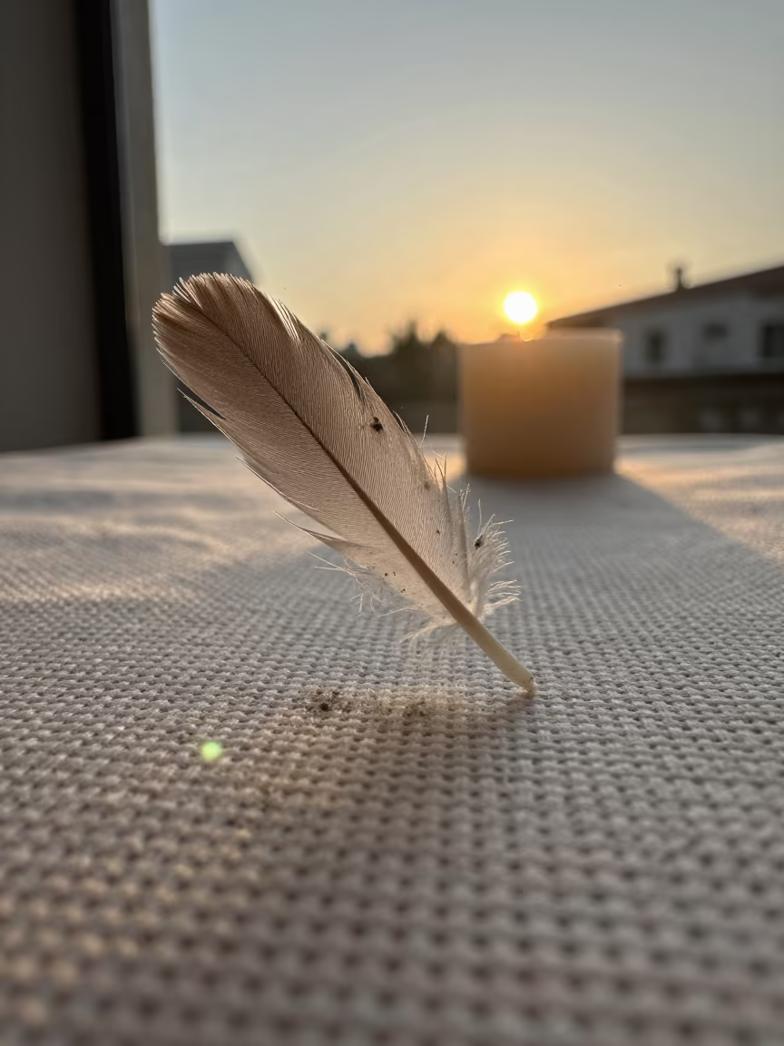 Dust Particles on Feather Barb Near Sidon Linen in against woven linen fibers near Sidon