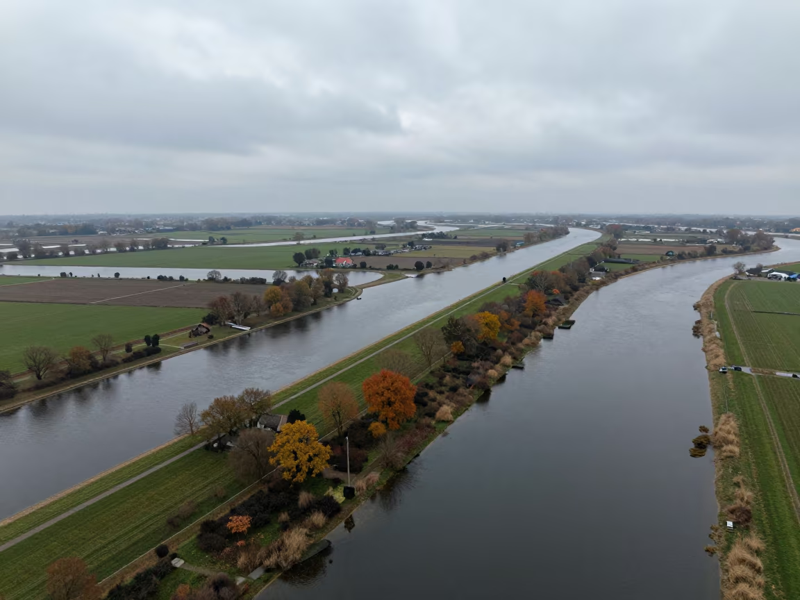 Dutch River Delta Branching Pattern Early Autumn in in Netherlands