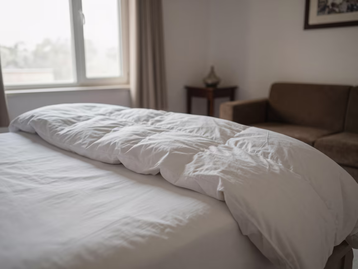 Duvet Billowing Over Fresh Bed in Winter Living Room in in a sunlit living room near Bikaner