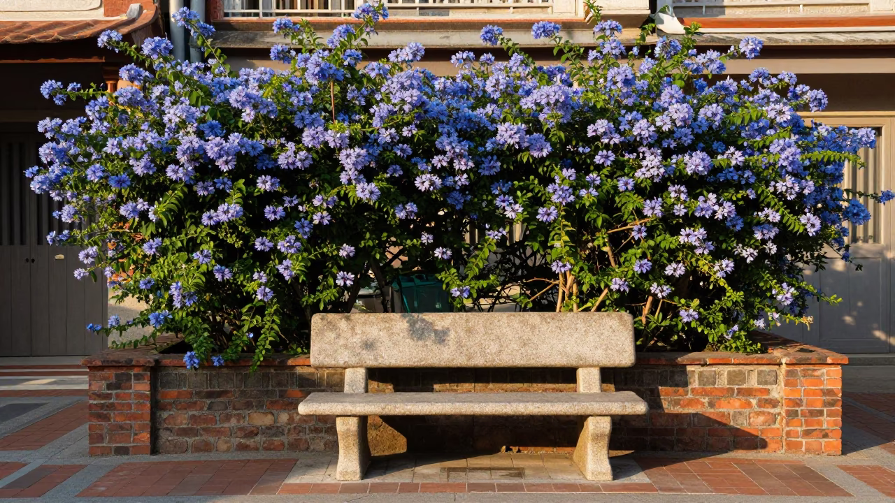 Early Afternoon in Tainan at The Early Afternoon Light in in Tainan, Taiwan