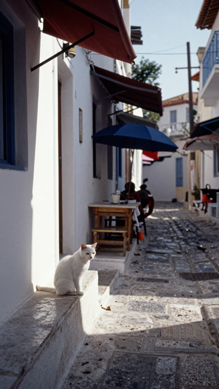 Early Afternoon Street Scene in Athens Greece with Cat and Umbrellas in in Athens, Greece