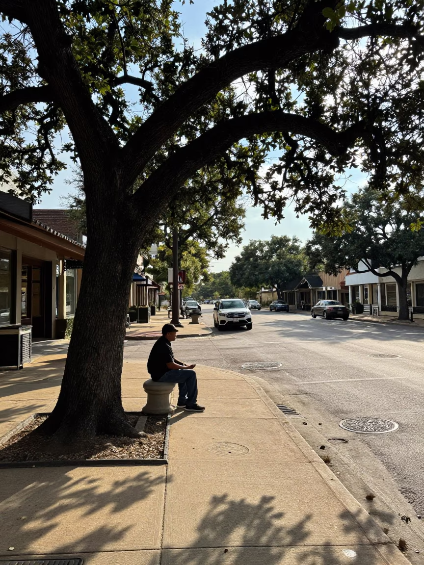 Early Afternoon Street Scene in Austin Texas with Fig Tree and Glass Pitcher in in Austin, Texas, United States