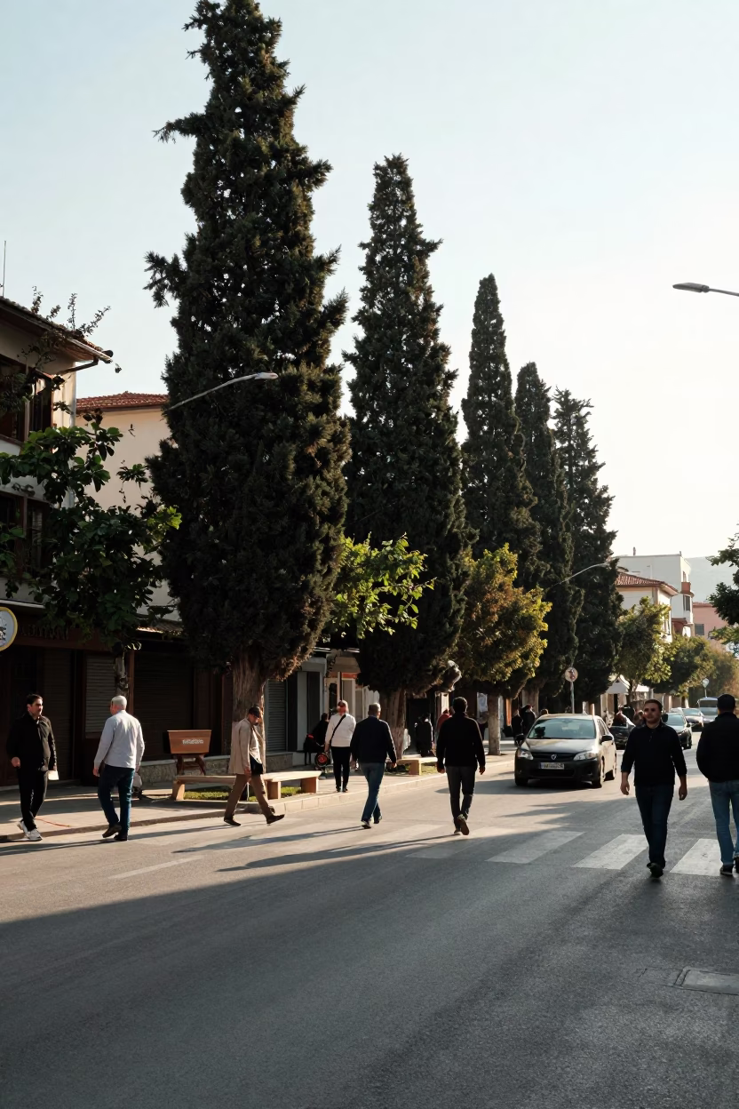 Early Afternoon Street Scene in Izmir Turkey with Cypress Trees and Coastal Life in in Izmir, Turkey