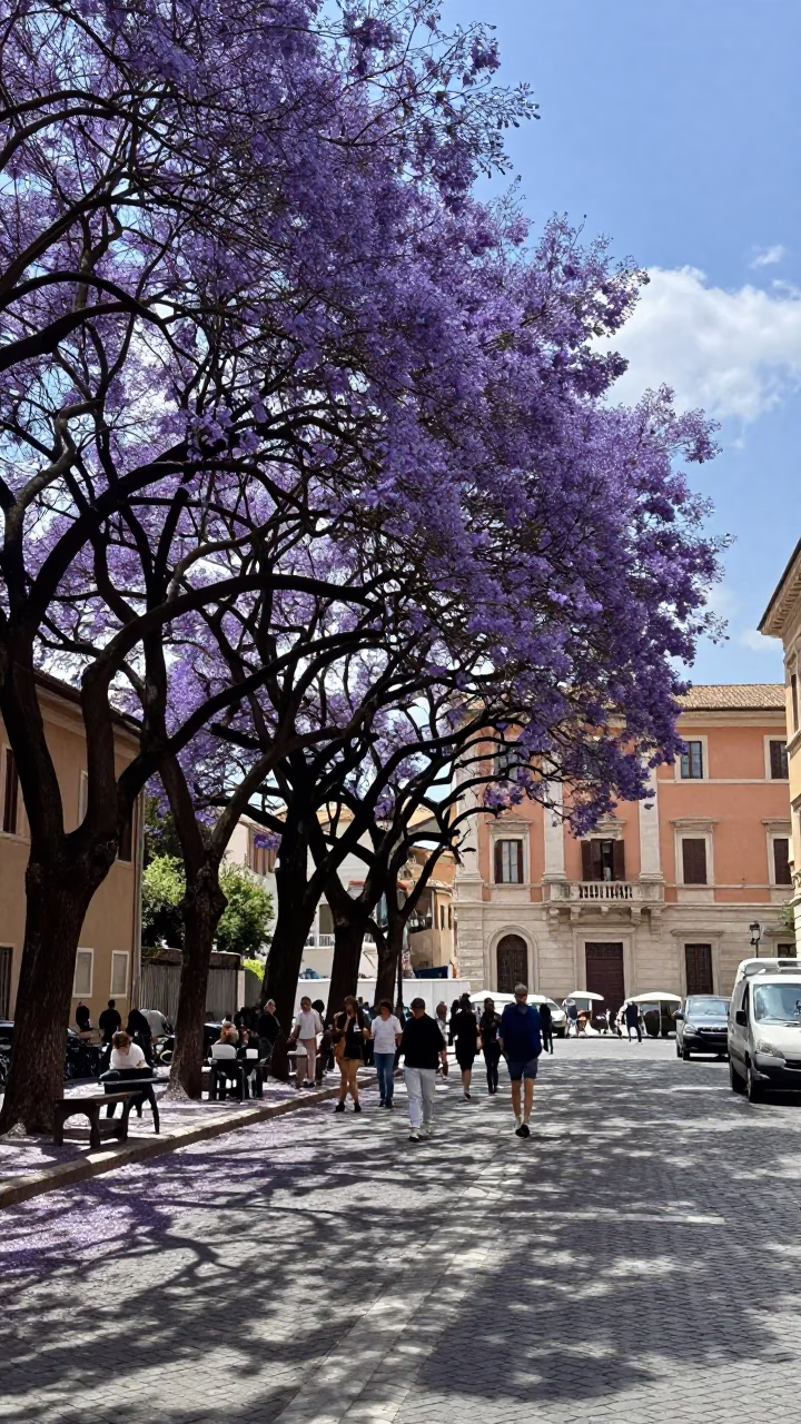 Early Afternoon Street Scene in Rome Italy with Purple Jacaranda Blooms and Historic Architecture in in Rome, Italy