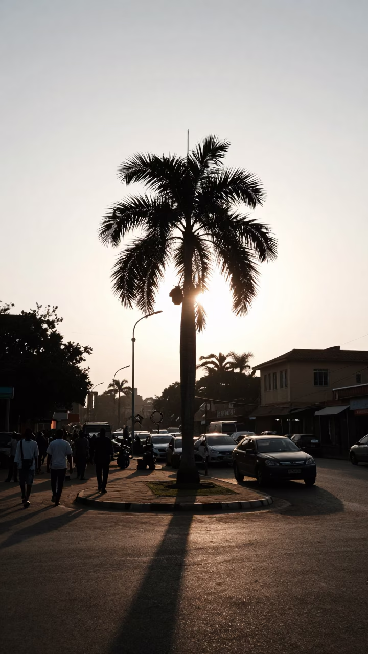 Early Evening Accra Street Scene with Palm Silhouette and Brushed Steel Bench in Ghana in in Accra, Ghana