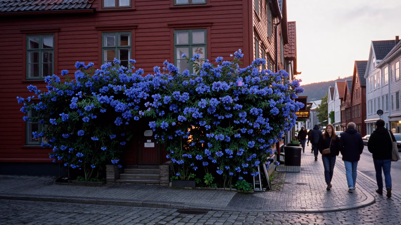 Early Evening in Bergen at The Early Evening Light in in Bergen, Norway