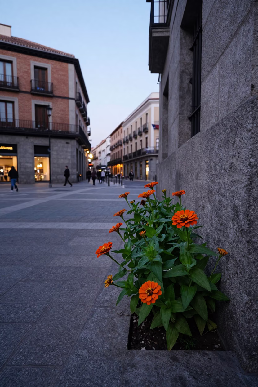 Early Evening Madrid Street Scene with Orange Zinnias and Cast Iron Coat Hook in in Madrid, Spain