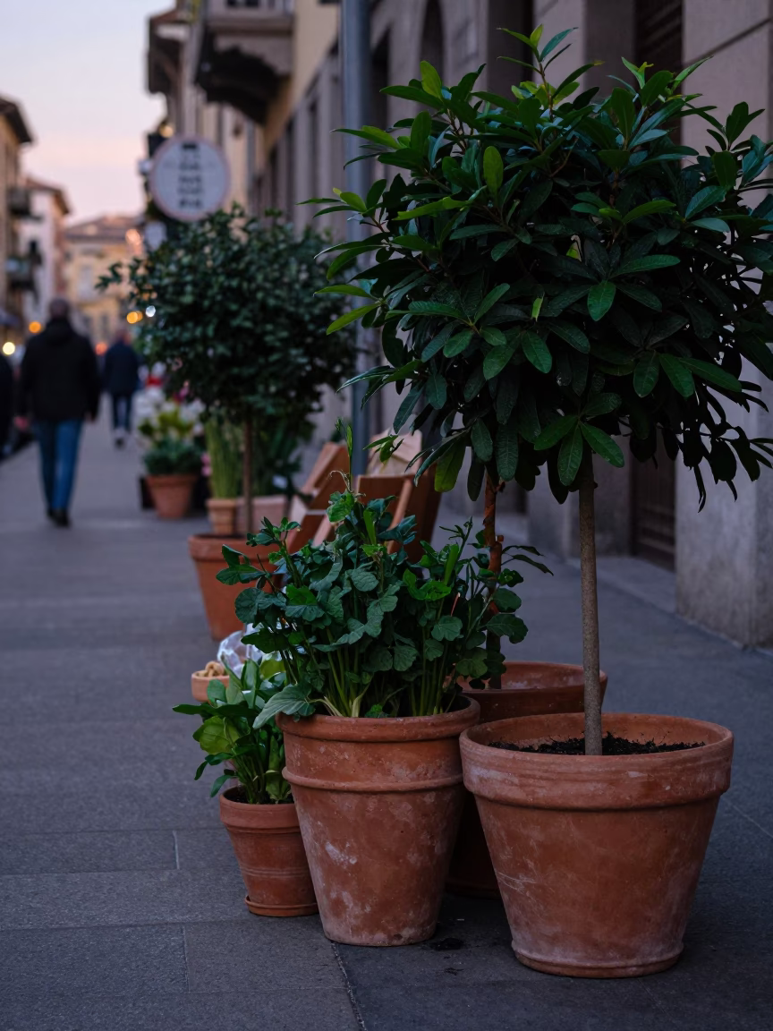 Early Evening Milan Street Scene with Terracotta Pots and Urban Life in in Milan, Italy