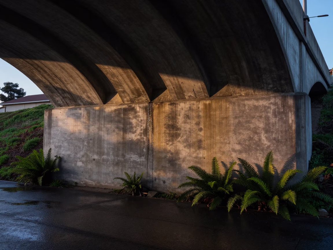 Early Evening San Diego Viaduct Undercroft Ferny Stone and Concrete Archway in in San Diego, California, United States