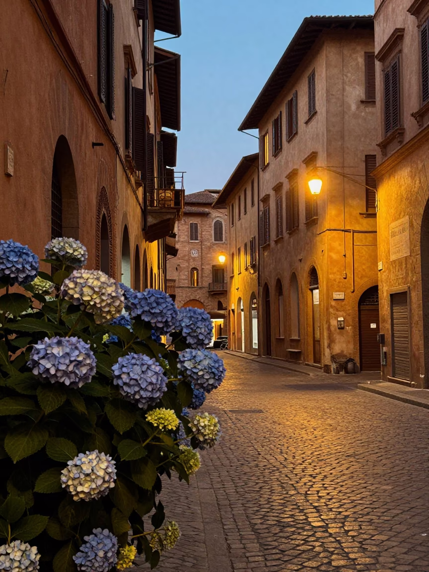 Early Evening Street Scene in Bologna Italy with Hydrangea Bush and Rusty Metal Details in in Bologna, Italy