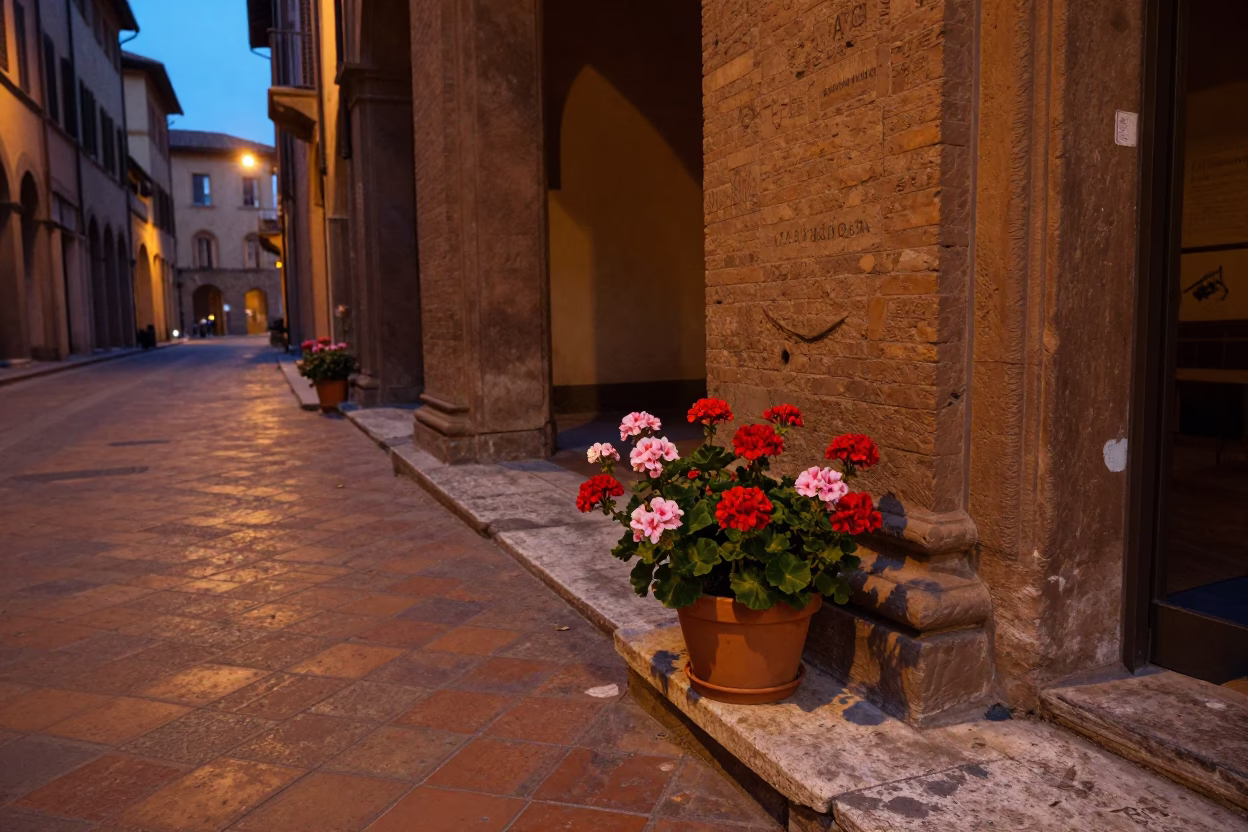 Early Evening Street Scene in Bologna Italy with Potted Geraniums and Saucer in in Bologna, Italy