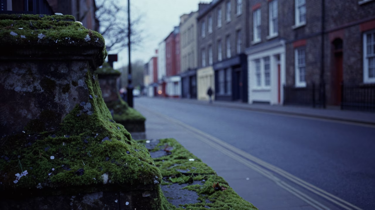 Early Evening Street Scene in Bristol UK with Mossy Stone Wall and Wet Asphalt in in Bristol, United Kingdom