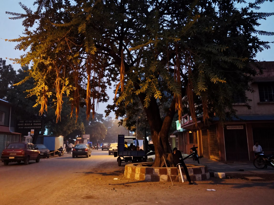 Early Evening Street Scene in Delhi India with Tamarind Tree and Kites in in Delhi, India