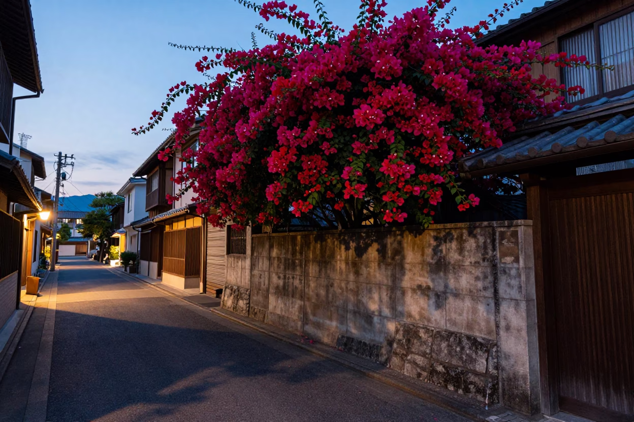 Early Evening Street Scene in Fukuoka Japan with Bougainvillea and Traditional Architecture in in Fukuoka, Japan