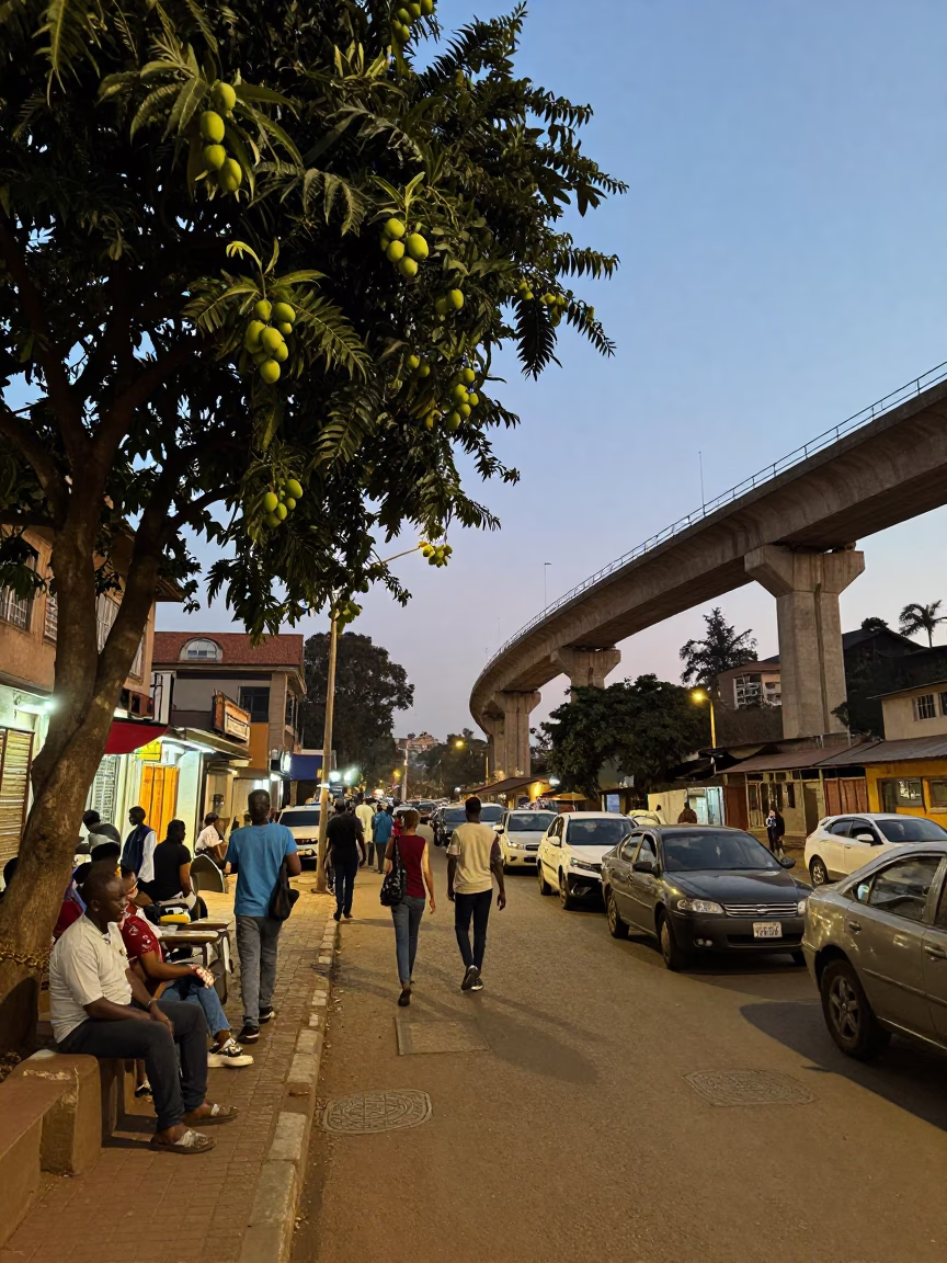 Early Evening Street Scene in Nairobi Kenya with Mango Tree and Concrete Viaduct in in Nairobi, Kenya
