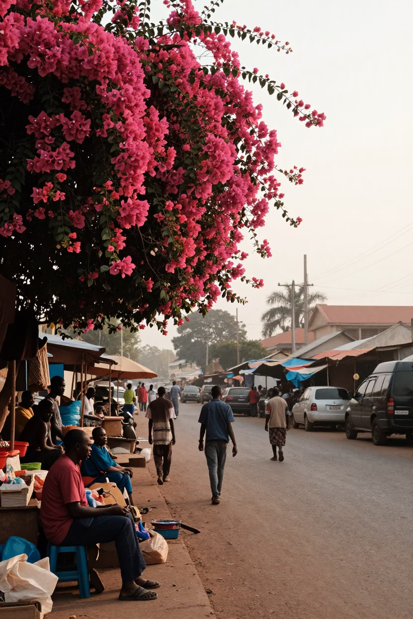 Early Morning Accra Street Scene with Bougainvillea and Local Commerce in in Accra, Ghana