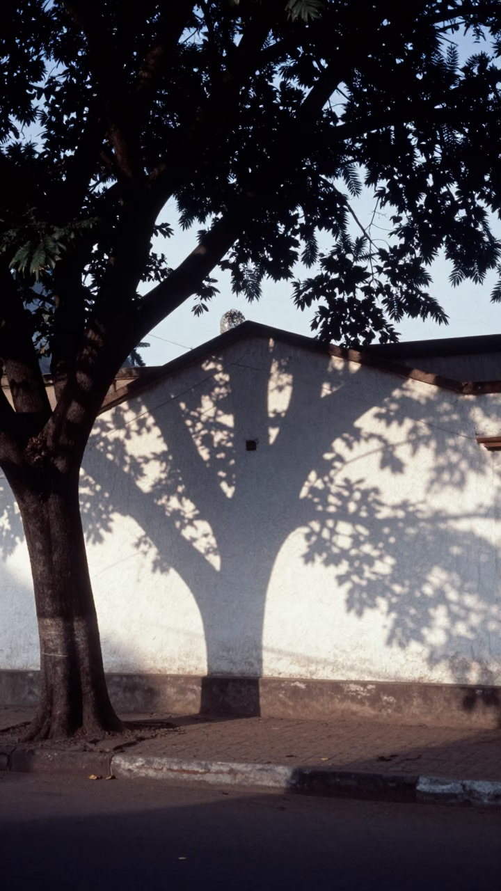 Early Morning Accra Street Scene With Dappled Leaf Shadows On Plaster in in Accra, Ghana