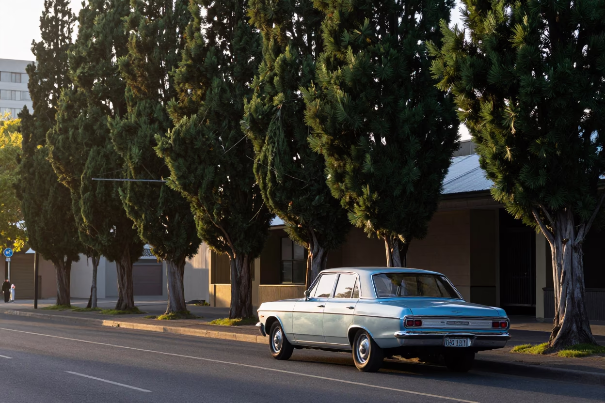 Early Morning Adelaide Street Scene with Vintage Car and Cypress Trees in in Adelaide, South Australia, Australia