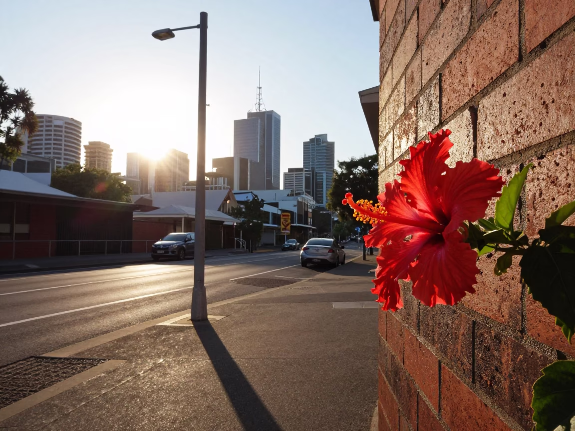 Early Morning Adelaide Street Scene with Woven Cane Light and Hibiscus Flower in in Adelaide, South Australia, Australia