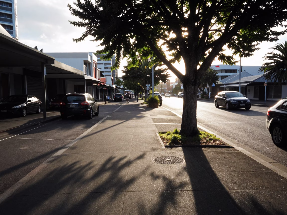 Early Morning Auckland Street Scene with Leaf Shadows and Morning Light in in Auckland, New Zealand