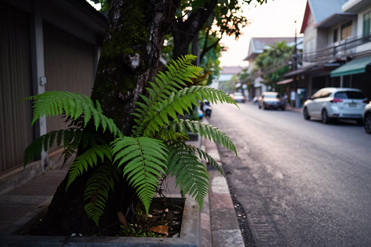 Early Morning Bangkok Street Scene with Ferns and Local Market Activity in in Bangkok, Thailand