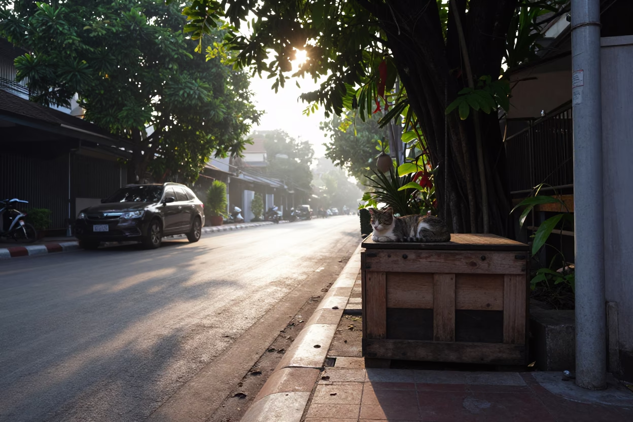 Early Morning Bangkok Street Scene with Tabby Cat and Local Market Activity in in Bangkok, Thailand