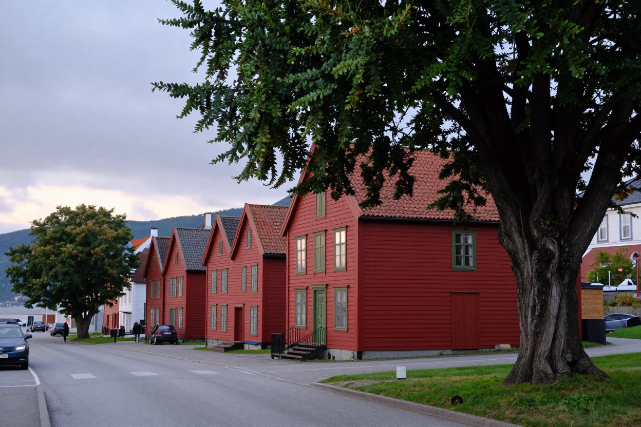 Early Morning Bergen Norway Street Scene with Cedar of Lebanon and Local Life in in Bergen, Norway