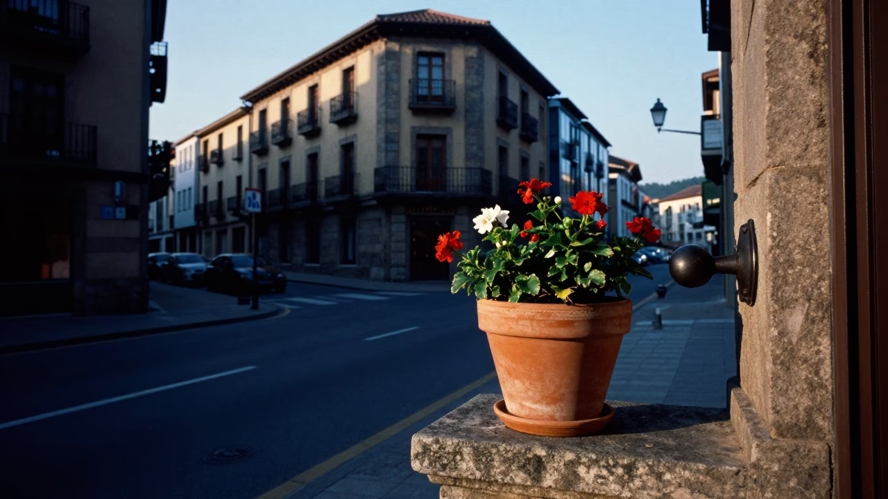 Early Morning Bilbao Street Scene with Flowerpot and Doorknob Details in in Bilbao, Spain