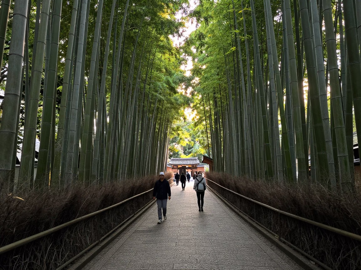 Early Morning Buddhist Walking Meditation Path Through Bamboo Forest in Kyoto Japan in in Kyoto, Japan