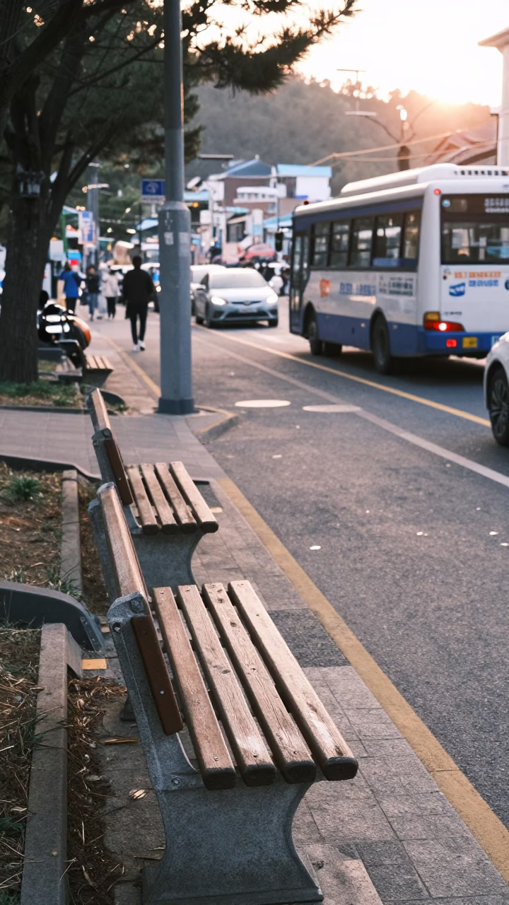 Early Morning Busan Street Scene with Park Bench and Camellia Petals at Sunrise in in Busan, South Korea