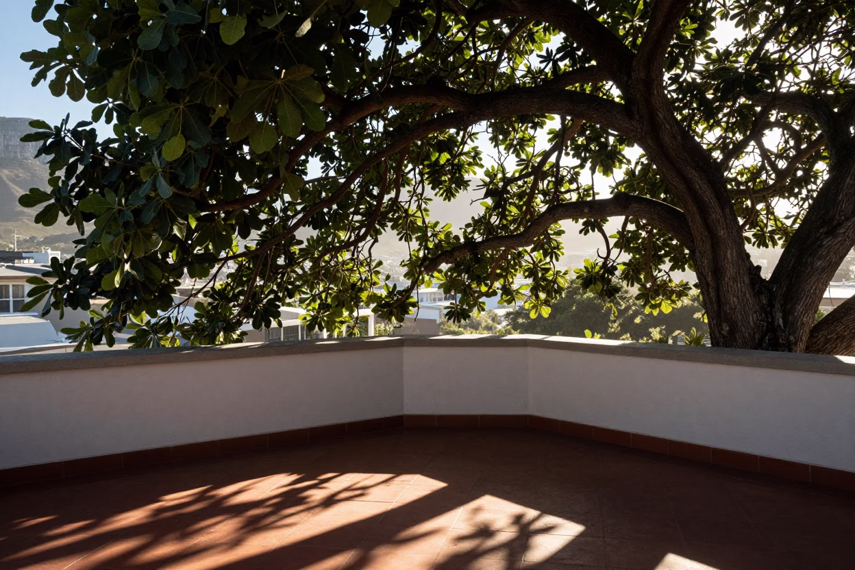 Early morning Cape Town balcony scene with leaf shadows and potted herbs in in Cape Town, South Africa