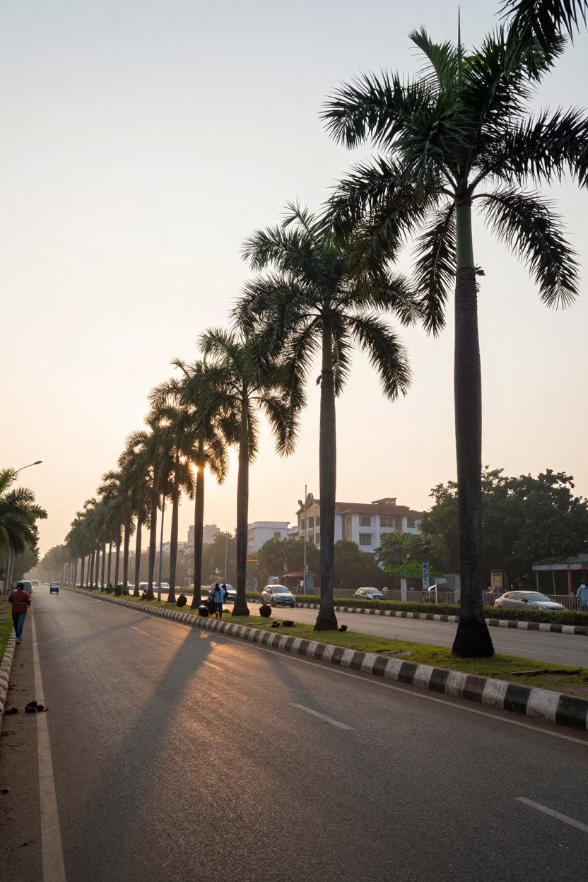 Early Morning Chennai Street Scene with Palm Trees and Local Traffic in in Chennai, India