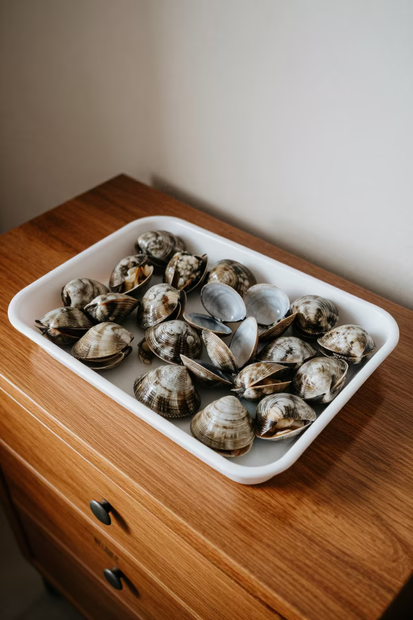 Early Morning Clams on Hotel Dresser in on a hotel dresser in Denizli