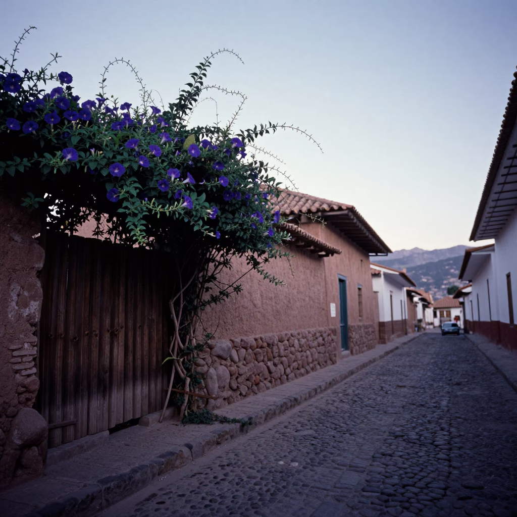 Early Morning Cusco Street Scene with Morning Glory Vines and Local Market Activity in in Cusco, Peru