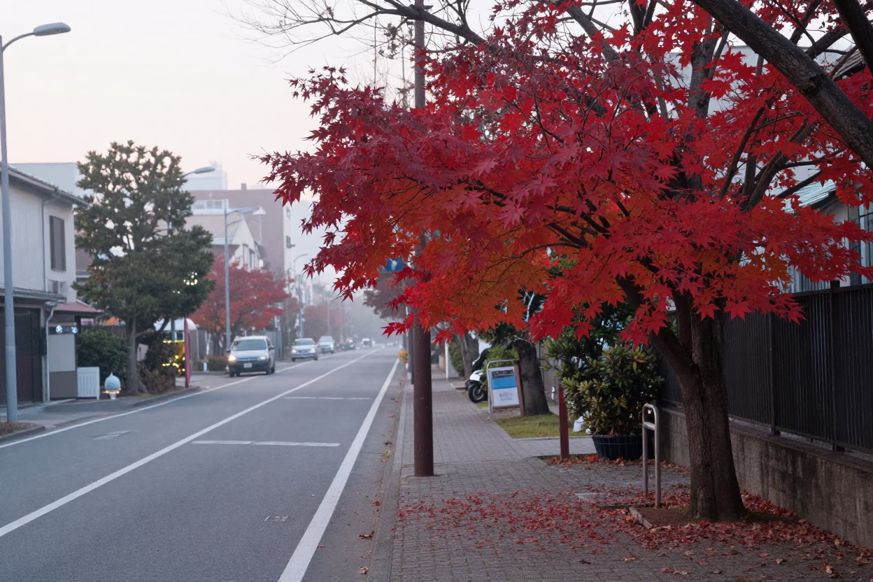 Early Morning Fukuoka Street Scene with Japanese Maple and Local Vendor in in Fukuoka, Japan